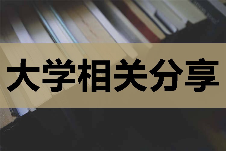 重庆大学考研报考人数（2023重庆大学考研人数）
